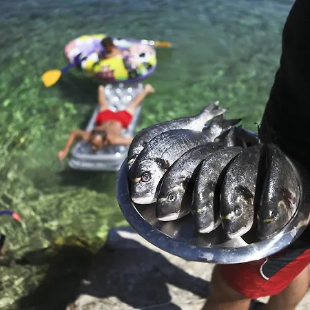 Robinson Monte Cristo